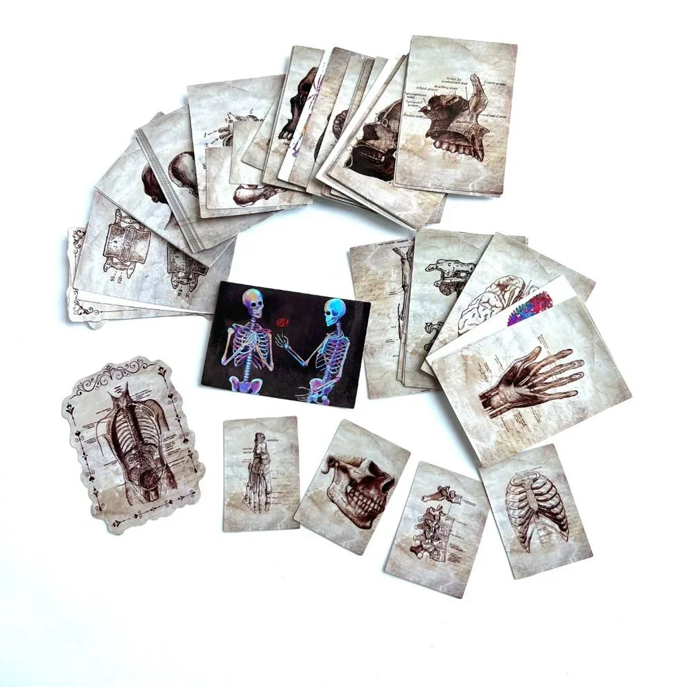 Anatomy Stickers Waterproof with Tin Box